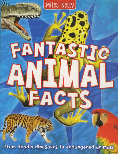Picture of FANTASTIC ANIMAL FACTS